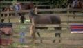 dr dolittle 3-avi_546.jpg
